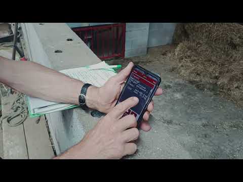 Les gains de la distribution robotisée