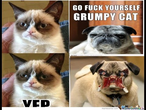 funny cat epic fail videos funny cat doormats