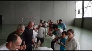 preview picture of video 'Stage Serge Serfati Karate vacances 2014 #1'