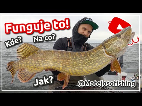 Jak chytat OBROVSKÉ ŠTIKY?!