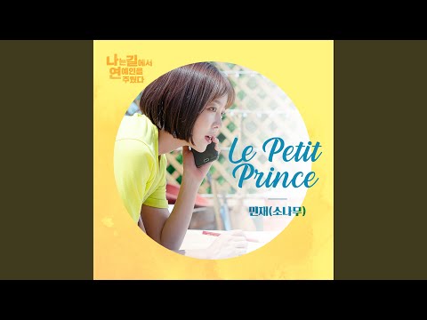 Video thumbnail for Le Petit Prince