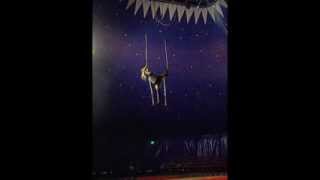 Dahliah Aerial Trapeze Demo