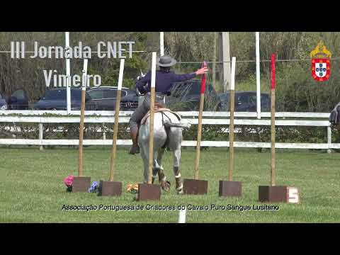 Clip III CNET Vimeiro