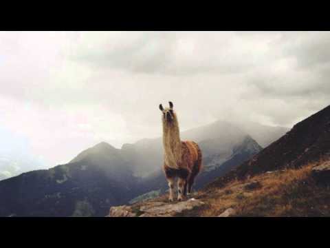 Chet Faker - Bend (D-Pulse Remix)