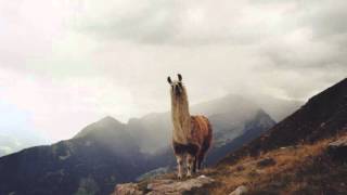 Chet Faker - Bend (D-Pulse Remix)