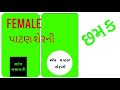 Green Screen Whatsapp Status Patan Serni Nar Padmni Female Navratri Special Status Green Screen