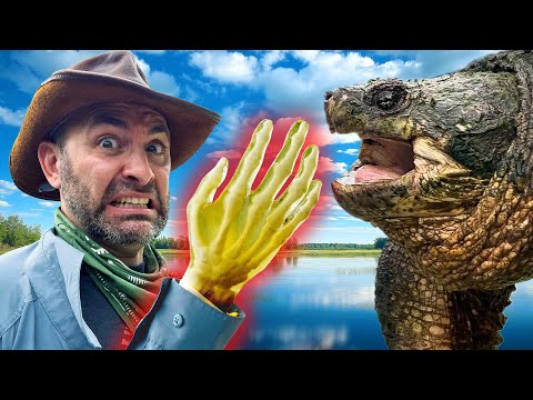 Snapping Turtle vs. Hand: Will it Break?!