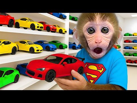 Singe Bon Bon surpris par les supercars colorées en faisant ses courses avec le petit canard