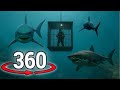 360 Deep Sea Horror Video Experience Shark Cage Drop Creatures Of The Abyss Thalassophobia