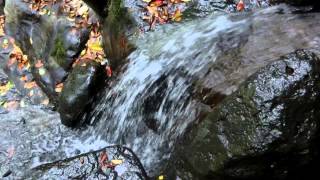 preview picture of video '[ZR-850]都立芝公園 もみじの滝[Full HD] -Maple Waterfall in Shiba Park-'