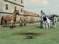 Class10 History The Khilafat And Non Cooperation Movement