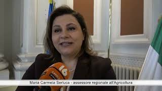 aree-interne-e-spopolamento-il-governo-incontra-i-territori