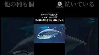 #shorts  絶滅危惧種動物　3選　PART2
