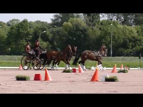Alltech FEI WEG 2014 - BEST OF 2013 Test Events