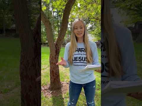 Strong Front Line  - Kristin's testimony and invitation    Sept 29, 2023