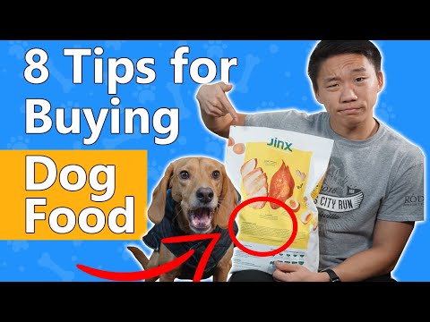 8 Tips For Buying The Best Dog Food