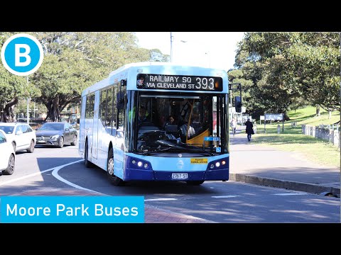 Sydney Buses - Moore Park Buses (100th Video Special)