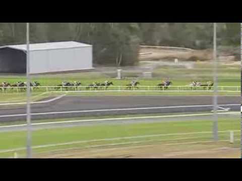 2013.06.29 Yalumba Caloundra Cup - Zennista