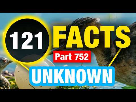 121 Weird Fun Facts | Mind Blowing World Facts