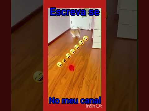 Gato con Botas: El último deseo Película Completa en Español Latino #shorts