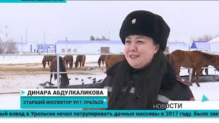 В Уральске служит единственная в РК кавалеристка