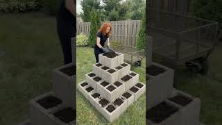 Watch how I created an incredible vertical garden using concrete block that were just sitting around