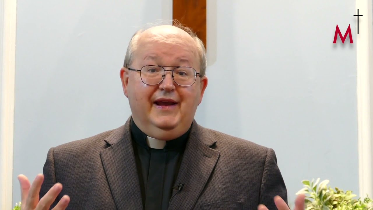 Why a synod on synodality?