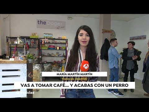 The doger café. La primera cafetería con perros | Antena 3 Noticias