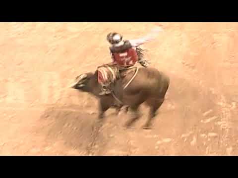 Cody Whitney vs Little Yellow Jacket - 05 PBR Finals (94.75 pts)