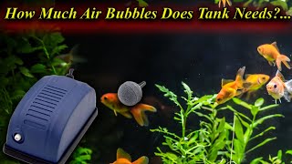 How Much Air Bubbles Does Aquarium Tank Needs?... / Fish Aquarium Tamil