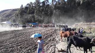 preview picture of video 'Fiesta De San Isidro pocoata central'