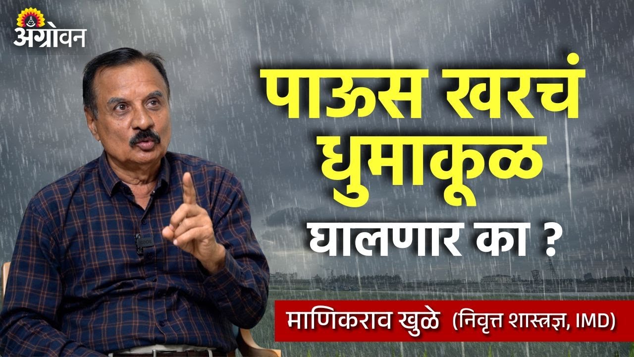 शेतकऱ्यांनी हवामान अंदाज बघताना काय काळजी घ्यावी.? Manikrao Khule | Agrowon