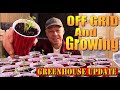 Off Grid And Growing. A Tour Of How We Set Up Our New Greenhouse At Our Off Grid Homestead.