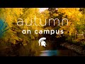 60 Seconds of Spartan Autumn | Michigan State University