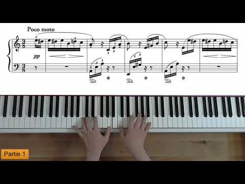 Beethoven - Lettre à Elise - Cours