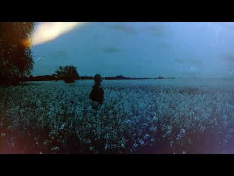 Sibewest Theyre Long Gone