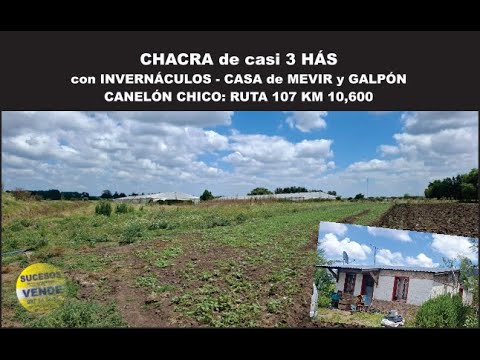 CANELÓN CHICO - RUTA 107 KM 10,600: CASI 3 HAS CON INVERNÁCULOS, CASA DE MEVIR Y GALPON
