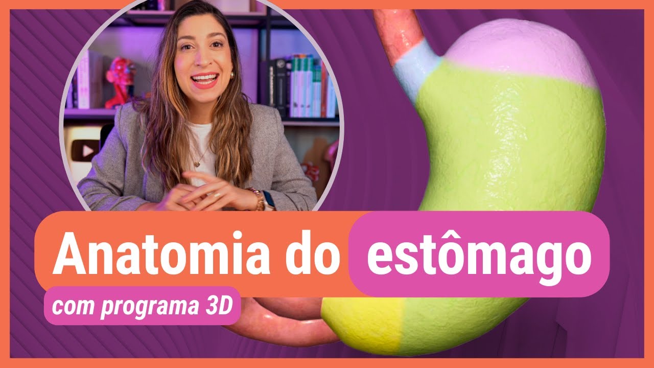 ANATOMIA DO ESTÔMAGO! Com programa 3D