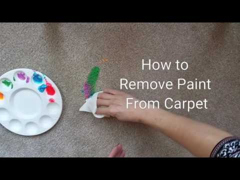 YouTube video about: How to get washable paint out of carpet?