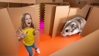 Download lagu Nastya and the hamster's escape from the cardboard maze. mp3