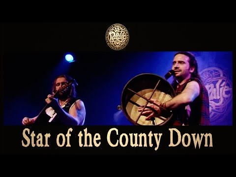 Star Of The County Down - Rapalje - Celtic Music live show
