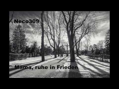 Danke.RealTschawo für deinen Gesponserten Song.anMich. Ich habe Mich SehrGefreut...🙏💭💬