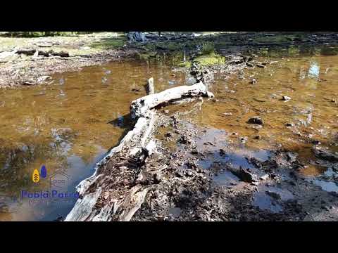 Oportunidad única en la Araucanía Andina