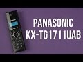 PANASONIC KX-TG1711UAB - видео