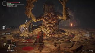 ELDEN RING　パート4