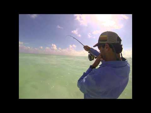 Chasing Permit