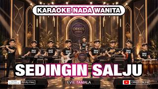 Download lagu KARAOKE SEDINGIN SALJU - EVIE TAMALA | NADA WANITA mp3 Download lagu KARAOKE SEDINGIN SALJU - EVIE TAMALA | NADA WANITA mp3