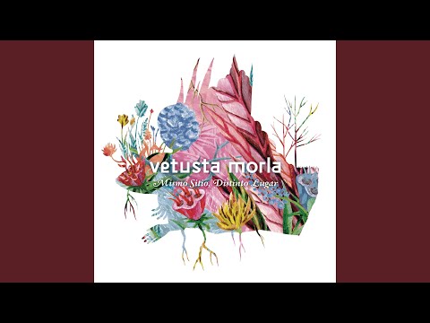 download lagu mp3 mp4 Peter Shershin, download lagu Peter Shershin gratis, unduh video klip Peter Shershin