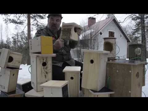 Eri linnuille erilaiset pöntöt