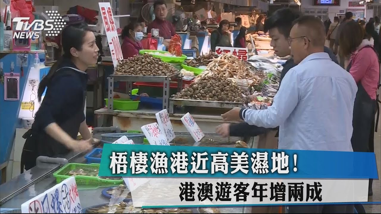 梧棲漁港近高美濕地! 港澳遊客年增2成